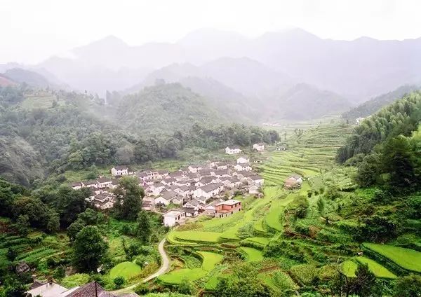 仙寓山石台富硒茶(仙寓山富硒茶怎么样)-硒宝网