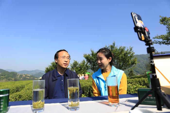 陕西安康富硒茶旅（安康富硒茶主要产自哪里）-硒宝网