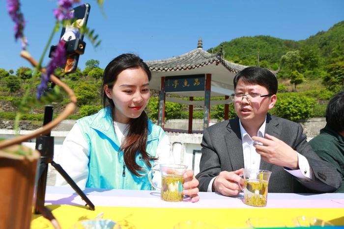 陕西安康富硒茶旅（安康富硒茶主要产自哪里）-硒宝网