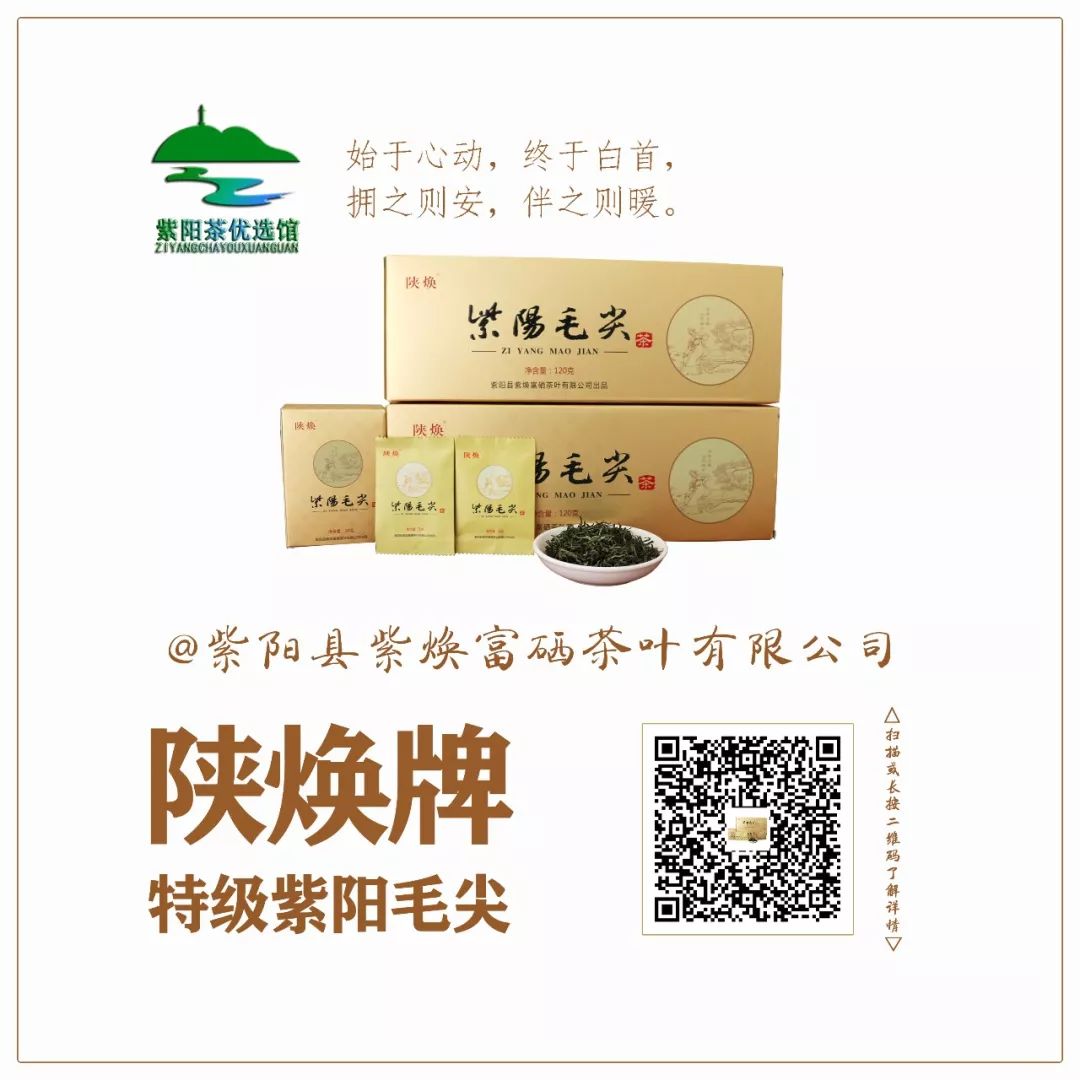 富硒茶能喝中毒吗(中毒能喝茶富硒茶吗)-硒宝网