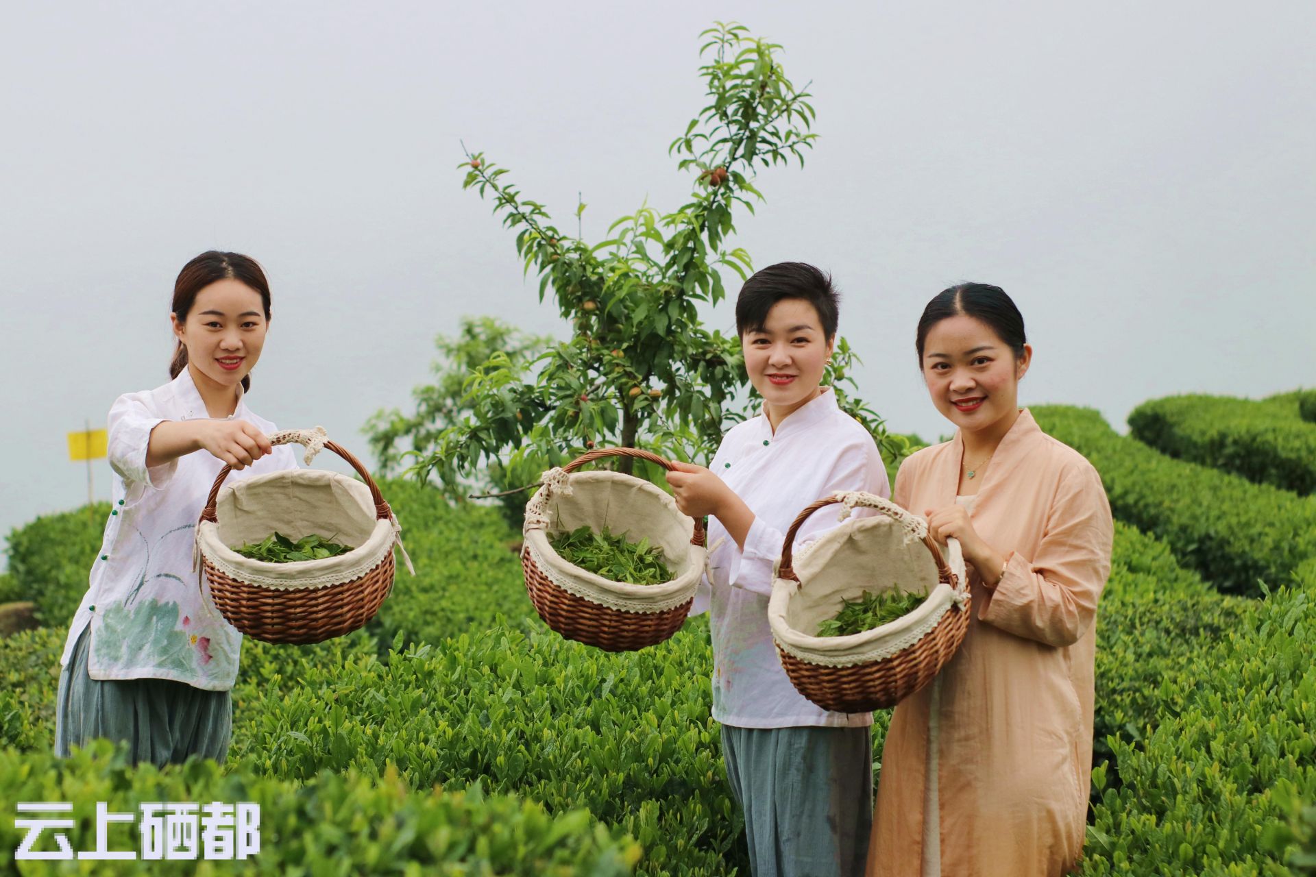 恩施富硒茶的泡法(恩施富硒茶是绿茶吗)-硒宝网
