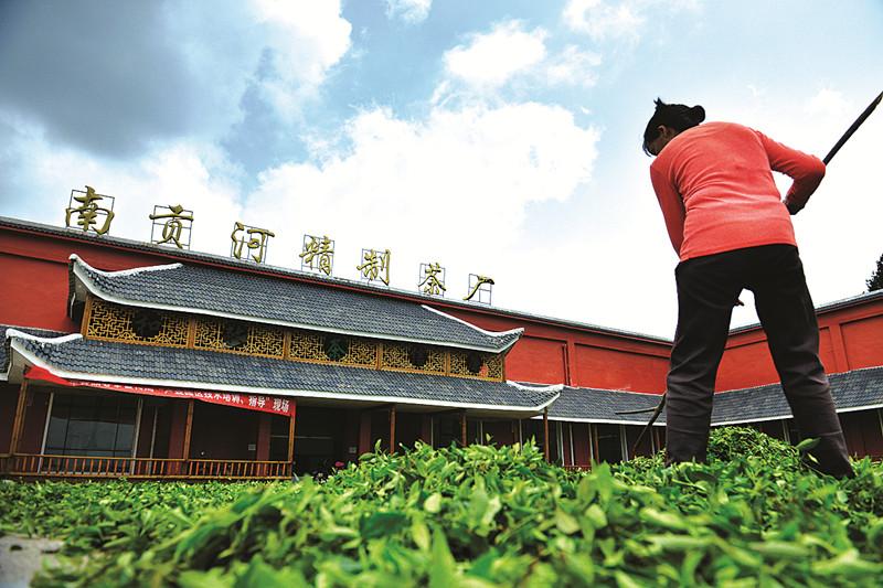 湖北富硒茶保质期（湖北茶保质期富硒多久）-硒宝网
