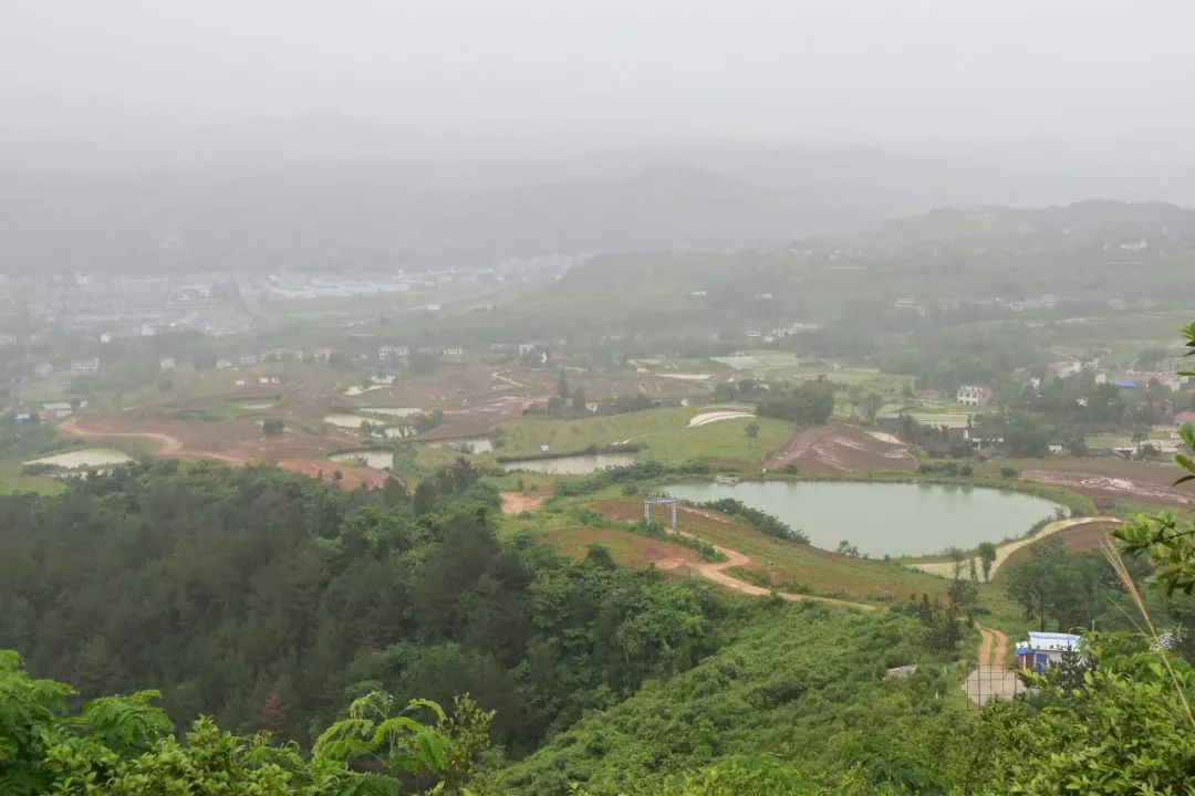 紫阳富硒茶半亩田(紫阳富硒茶园观光)-硒宝网