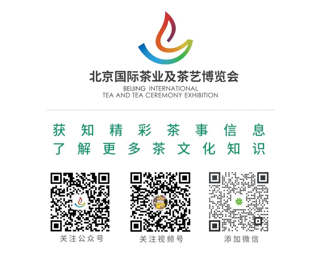 富硒老白茶小茶饼(富硒白茶是白茶吗)-硒宝网