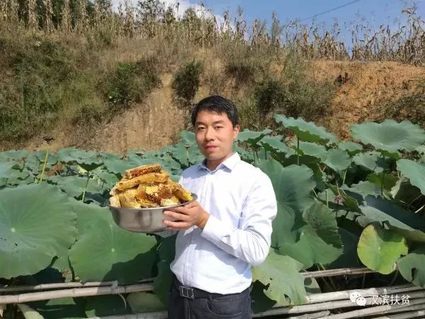 安康富硒茶和姚华(安康富硒茶产业)-硒宝网