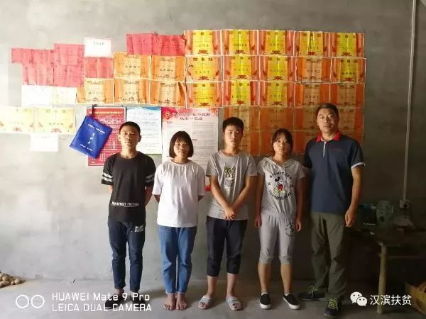 安康富硒茶和姚华(安康富硒茶产业)-硒宝网