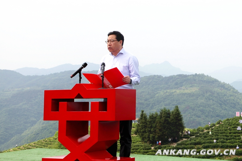 陕西安康富硒紫茶（陕西紫阳富硒茶是红茶还是绿茶）-硒宝网