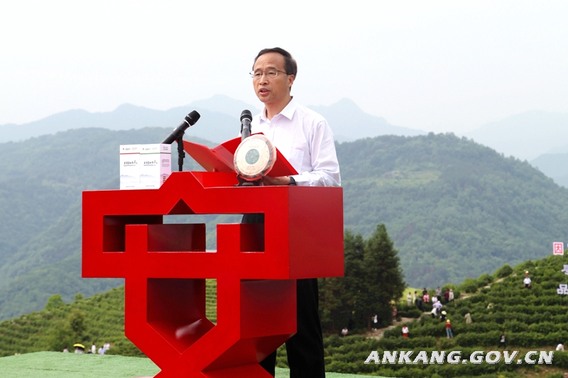 陕西安康富硒紫茶（陕西紫阳富硒茶是红茶还是绿茶）-硒宝网