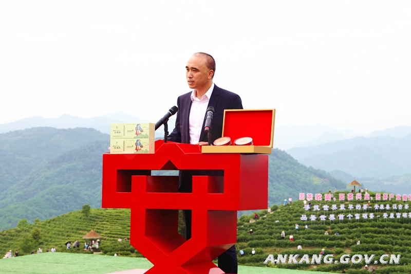 陕西安康富硒紫茶（陕西紫阳富硒茶是红茶还是绿茶）-硒宝网