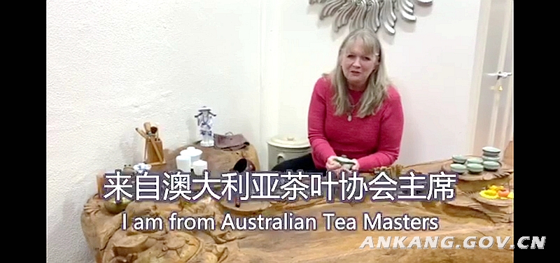 陕西安康富硒紫茶（陕西紫阳富硒茶是红茶还是绿茶）-硒宝网