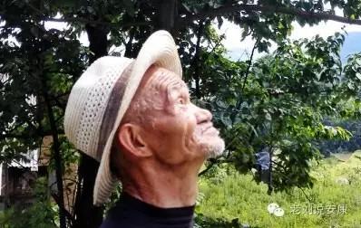 安康陈荣堂富硒茶(陈荣堂在安康市资产排名多少)-硒宝网