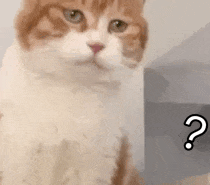 富硒茶英语怎么说(茶英语)-硒宝网