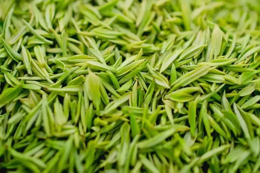 紫阳富硒茶和仙毫(汉中仙毫与紫阳毛尖哪个好)-硒宝网