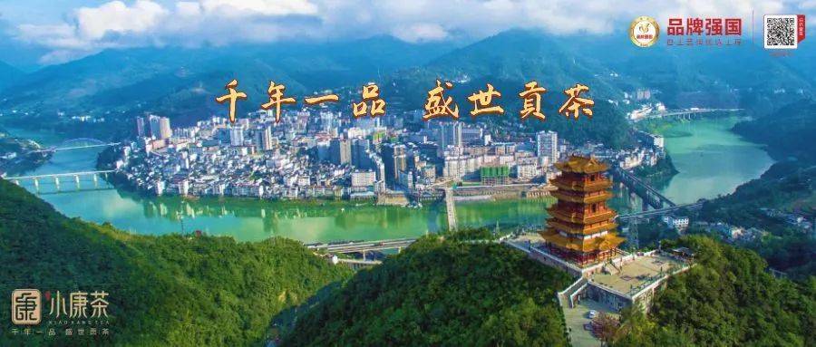 陈宗懋安康富硒茶(安康富硒茶最古老的茶)-硒宝网