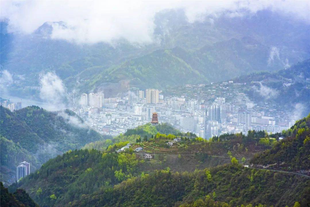 紫阳县富硒茶介绍(紫阳富硒茶文化)-硒宝网