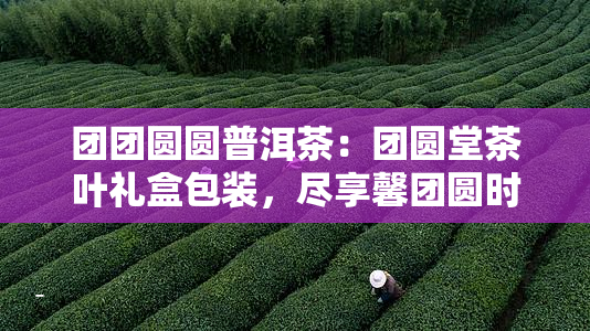 富硒奇兰茶的功效(兰茶的功效与作用)-硒宝网