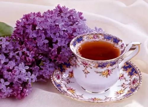 富硒奇兰茶的功效(兰茶的功效与作用)-硒宝网