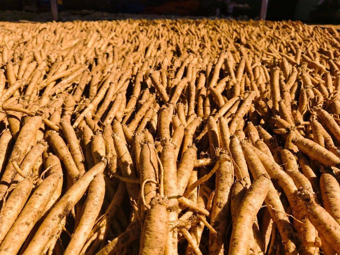 富硒玫瑰茶多少钱（富硒玫瑰花蕾茶的功效与作用）-硒宝网