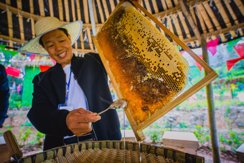 仙寓山大山富硒茶（仙寓山硒茶价格）-硒宝网