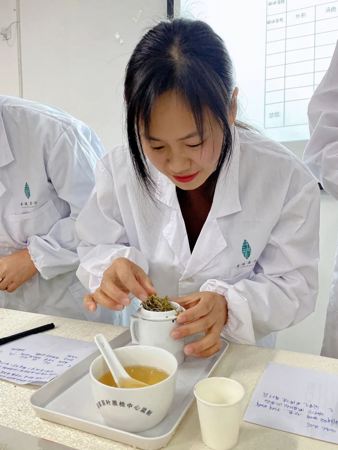 富硒黄金茶的泡法(黄金茶的药效)-硒宝网