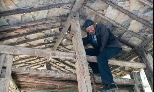 富硒黄金茶的泡法(黄金茶的药效)-硒宝网