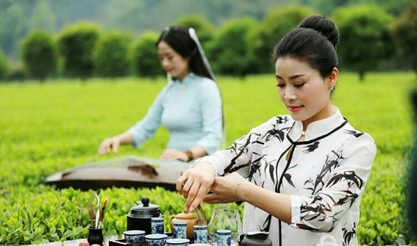 湖南富硒茶供应商(湖南富硒产业协会)-硒宝网