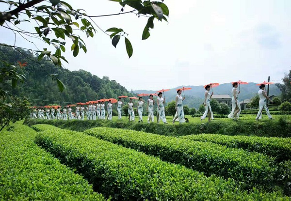 湖南富硒茶供应商(湖南富硒产业协会)-硒宝网