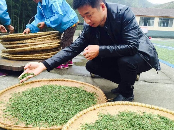 湖南富硒茶供应商(湖南富硒产业协会)-硒宝网