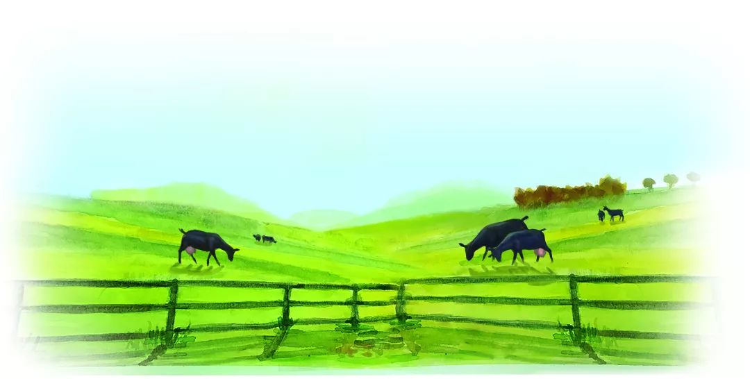 富硒功能性红曲茶(富硒红曲茶的功效与作用)-硒宝网