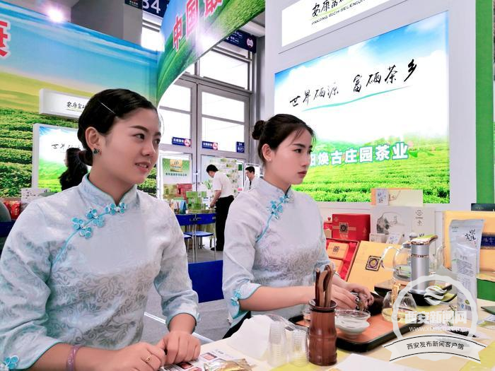 富硒茶的发展现状(富硒茶文化)-硒宝网