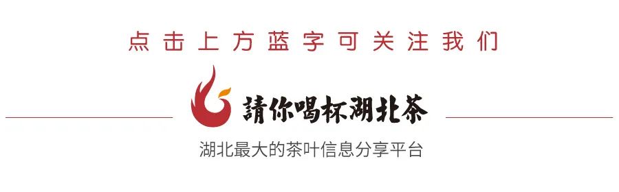 湖北省富硒茶标准(湖北富硒茶多少钱一斤)-硒宝网