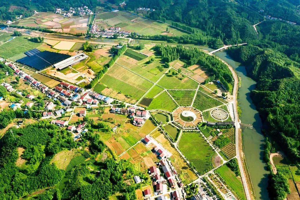 湖北省富硒茶标准(湖北富硒茶多少钱一斤)-硒宝网