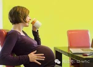 怀孕能喝富硒茶吗（怀孕能喝茶富硒奶吗）-硒宝网