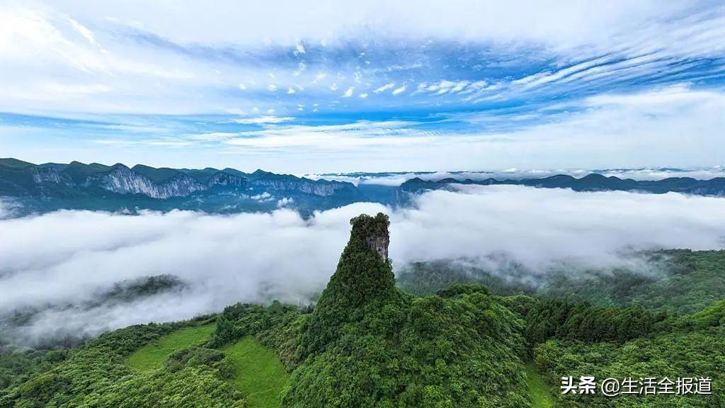 鄂西富硒茶在哪儿（恩施富硒茶硒含量）-硒宝网