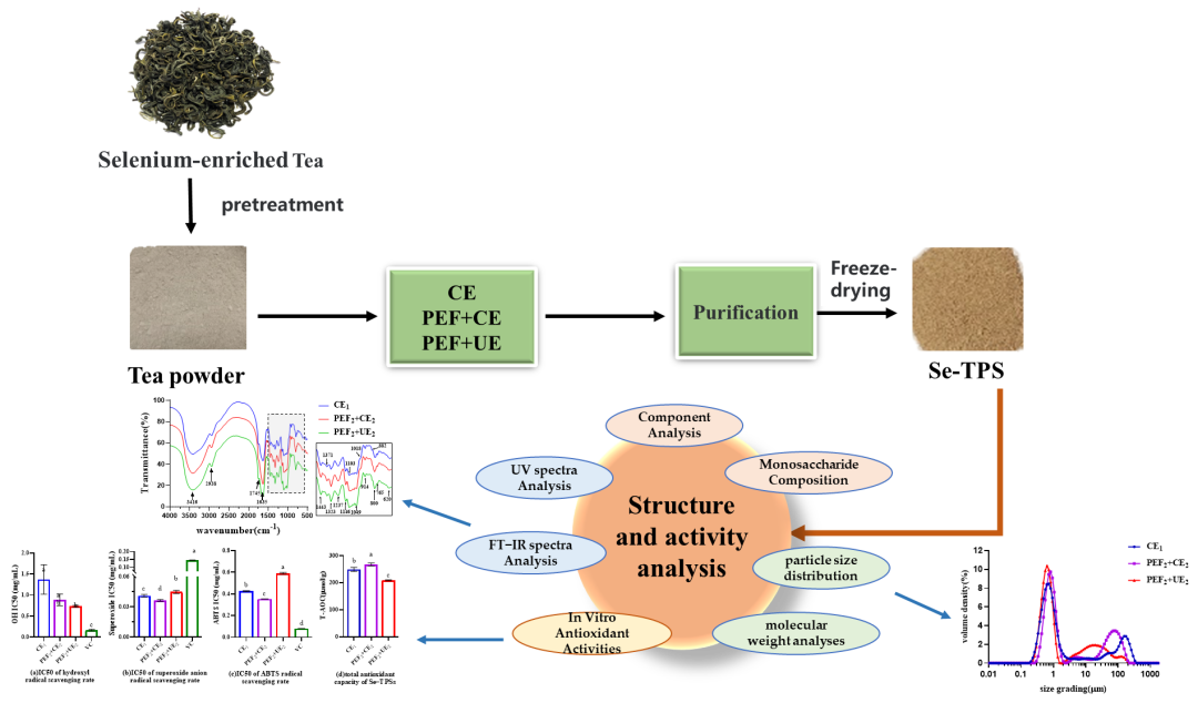 富硒茶的功效与作(富硒茶的营养价值)-硒宝网