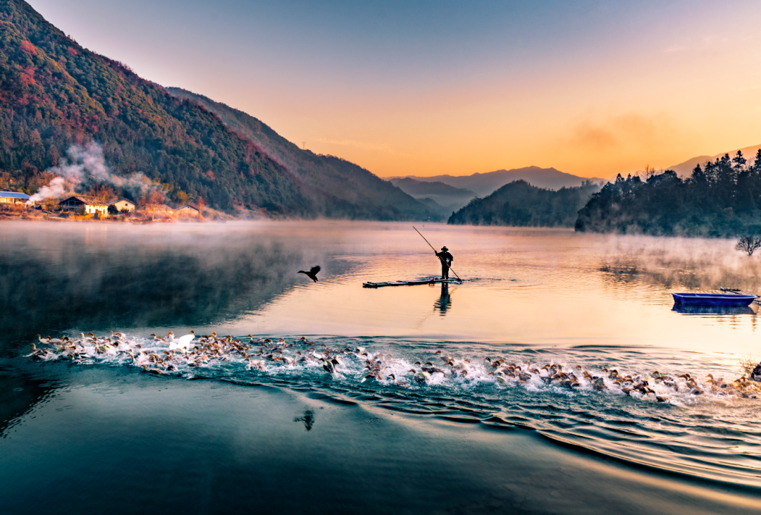 石台仙寓山富硒茶(石台县仙寓山硒茶)-硒宝网