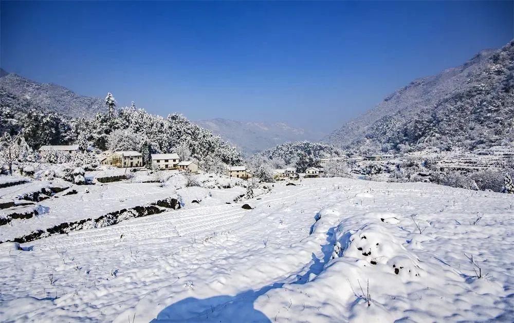 石台仙寓山富硒茶(石台县仙寓山硒茶)-硒宝网