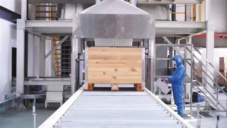 紫阳富硒茶加工厂（紫阳富硒茶制作过程）-硒宝网