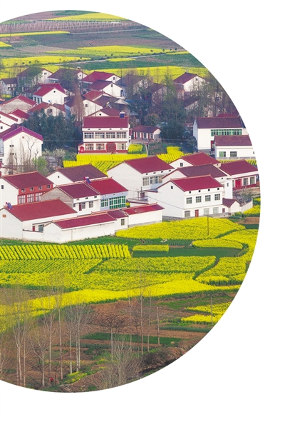 晋中大山村富硒茶(山西富硒茶叶)-硒宝网