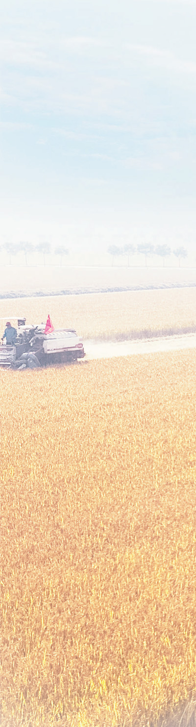 晋中大山村富硒茶(山西富硒茶叶)-硒宝网