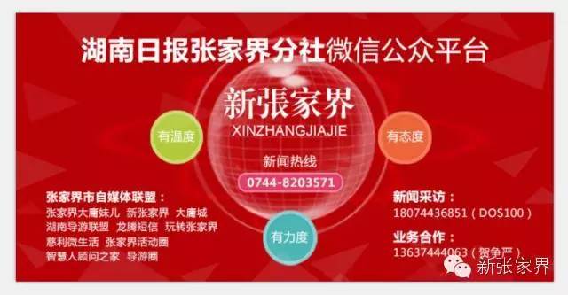 富硒茶宣传册内容（富硒茶宣传语）-硒宝网