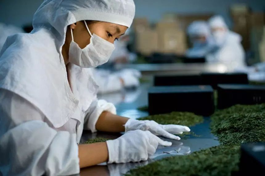 茶农直销网富硒茶(富硒茶庄)-硒宝网