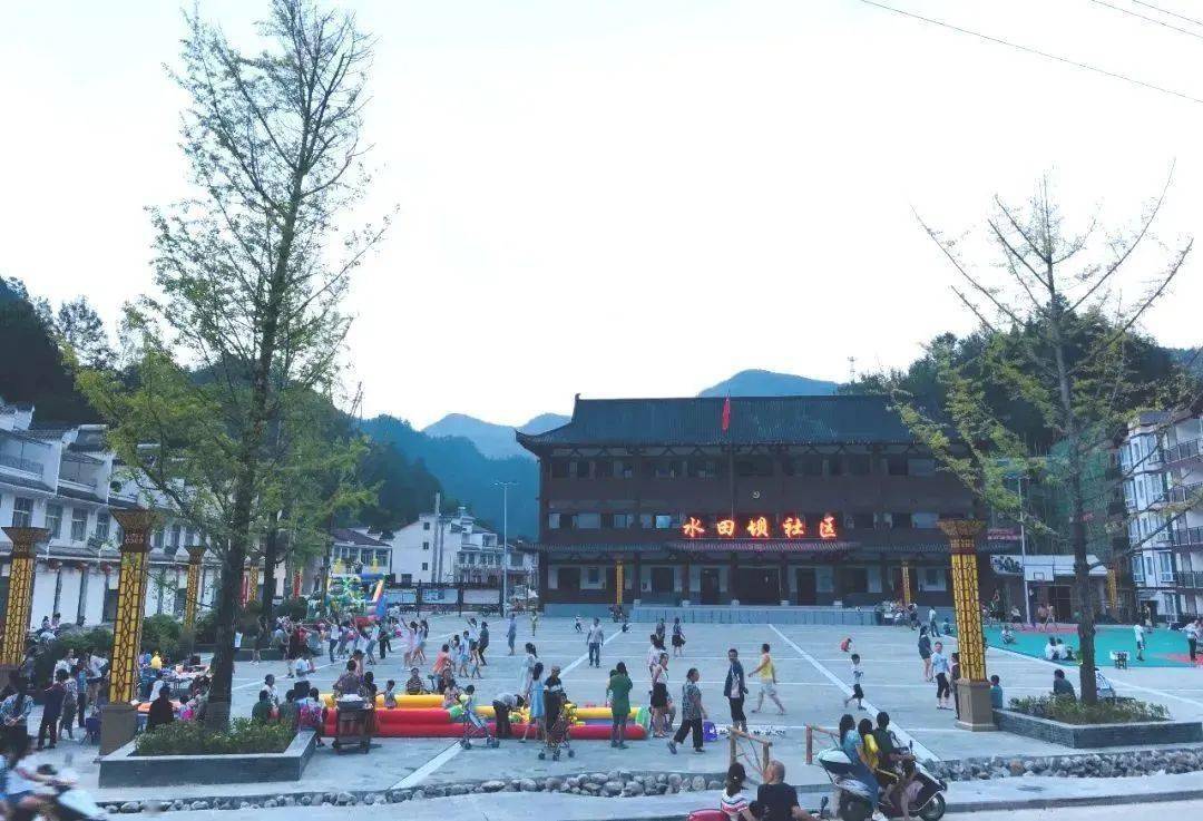 安康市富硒茶蚕丝(安康富硒茶最古老的茶)-硒宝网