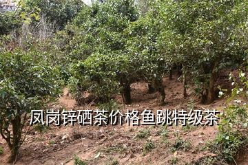 鹤山凤岗富硒锌茶(凤岗锌硒绿茶)-硒宝网