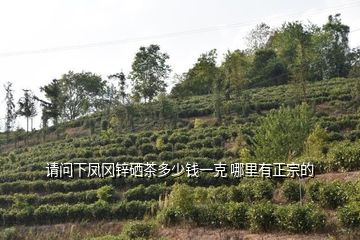 鹤山凤岗富硒锌茶(凤岗锌硒绿茶)-硒宝网