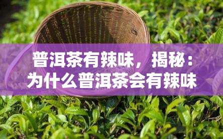 高稀富硒茶的作用(富硒的茶)-硒宝网