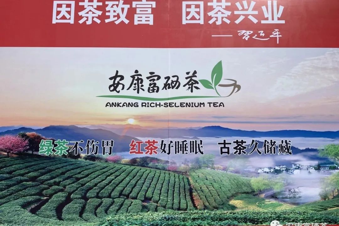 全国供销社富硒茶(富硒茶产业)-硒宝网