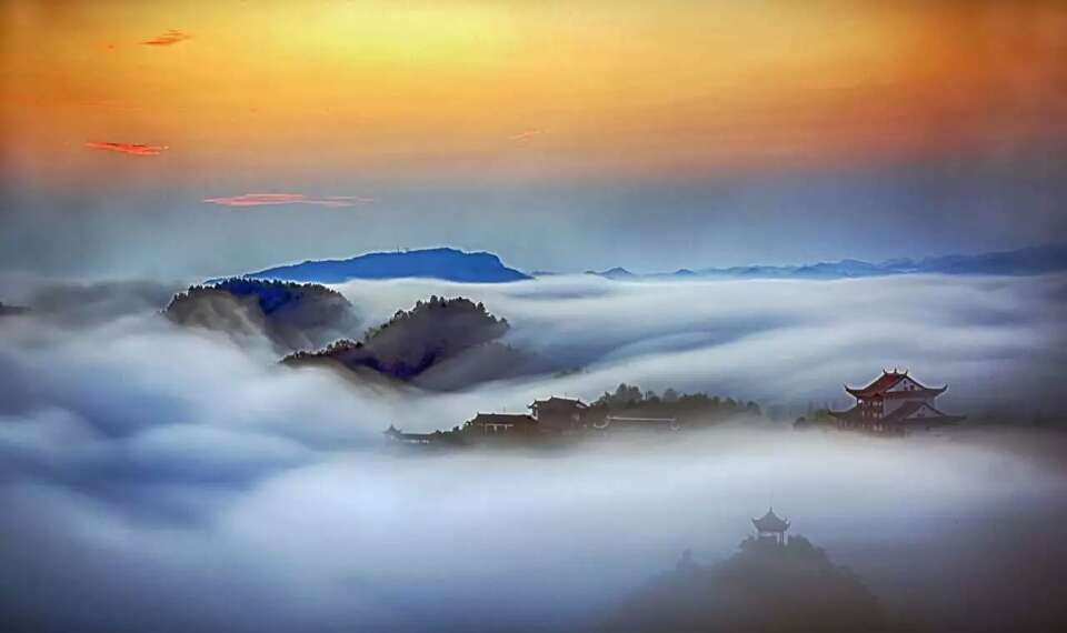 开阳富硒茶多少钱(开阳富硒茶园)-硒宝网