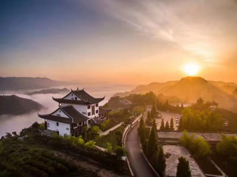 开阳富硒茶多少钱(开阳富硒茶园)-硒宝网