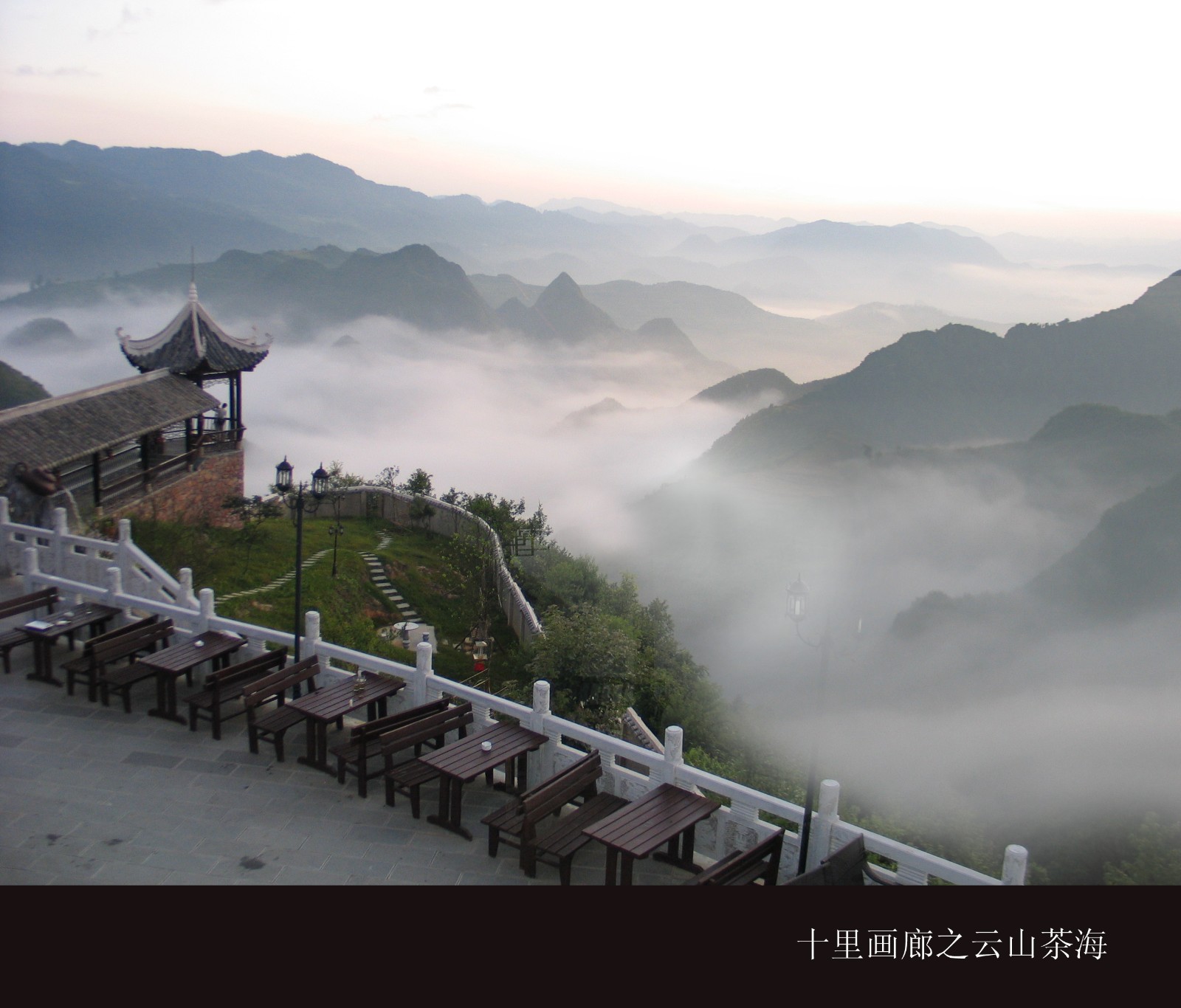 开阳富硒茶多少钱(开阳富硒茶园)-硒宝网